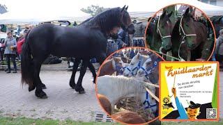 de BEROEMDE paardenmarkt ZUIDLAREN 171023 vlog138 [upl. by Aderfla665]