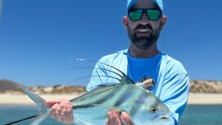 Mexico Roosterfish  Roam and Reel [upl. by Ardien]