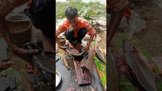 Wow Traditional Pangas Fish Cutting Skills In Expert Cutter 😳😱 Part 561 shorts [upl. by Araf]