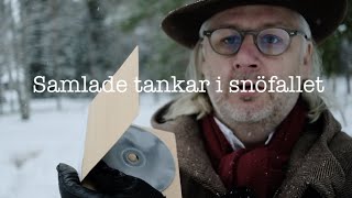 Samlade tankar i snöfallet CDAlbum låtordning med film [upl. by Aldric]