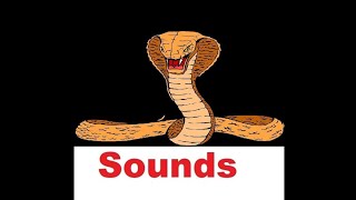 Snake Hiss Sound Effects with drawing [upl. by Ttayh]