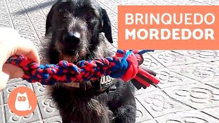 BRINQUEDO MORDEDOR de nós para cachorros FEITO EM CASA [upl. by Repsac]