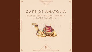 Cafe De Anatolia [upl. by Namijneb95]