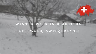 Iseltwald Winter Walk 🇨🇭 [upl. by Htaek490]