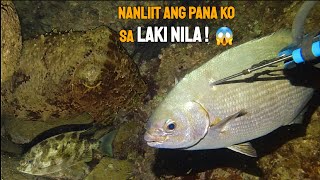 EPISODE 110  NIGHT SPEARFISHING PHILIPPINES  Nanliit ang pana ko sa LAKI NILA 😱  Drins Adventure [upl. by Cocke]