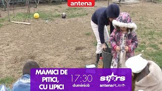 Familia Donca aventuri și experimente de pe meleaguri diferite Copiii pun la cale ceva [upl. by Trebled429]