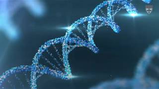 How so called ‘junk DNA’ affects cancer risk [upl. by Davita]