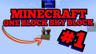 CI RITROVIAMO SU UN SOLO BLOCCO  Minecraft One Block Ep1 [upl. by Mikel]