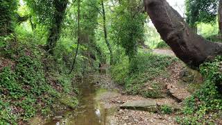 PAISAJES VERDES EN LA SIERRA DE HUELVA [upl. by Eenttirb]