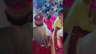 Janam sultan entry scene😎😎😎  mahfil millad e Mustafa  Istaqbal  Allama Haris Raza Qadri shb lo [upl. by Behn]