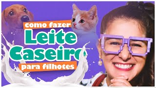 O LEITE CASEIRO MAIS COMPLETO PARA FILHOTES DE CÃES E GATOS [upl. by Ainedrag]