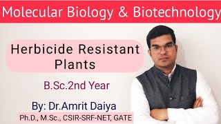 Herbicide Resistant Plants खरपतवारनाशी रोधी पादपHindi amp English BSc By DrAmrit Daiya [upl. by Neenahs]