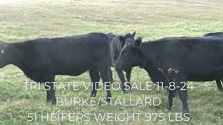 TRI STATE VIDEO SALE 11824 AT 1PM [upl. by Grosz179]