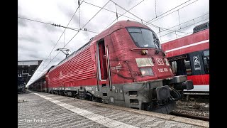 Zugverkehr in Nürnberg HBf am 19112024  zwischen Hamstern Möpsen und Weißwürsten [upl. by Yecak451]