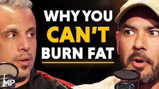 The 4 Big Causes Of Visceral Belly Fat amp How To Burn It ASAP  Mind PumpEpisode [upl. by Rubma929]