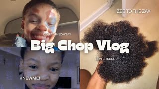 BIG CHOP VLOG [upl. by Merideth]