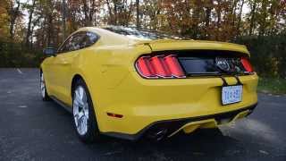 2015 Ford Mustang GT Stock Exhaust  Startup amp Revs [upl. by Sigismund]