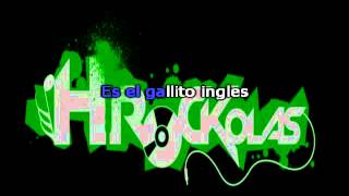 Zurdok  Gallito ingles HRockolas [upl. by Arriet]