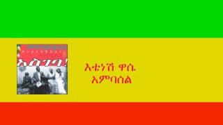 እቴነሽ ዋሴ  አምባሰል Etenesh Wassie  Ambassel [upl. by Adnawed671]