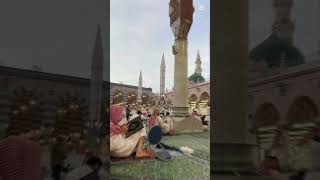 Hazor agaye hein 2023 islamicstatus viralvideo love 🥰 naat [upl. by Giorgi549]