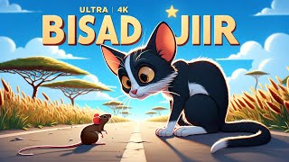 Bisad iyo Jiir Tom and Jerry Afsoomaali  Sheeko  4K [upl. by Yoshio]