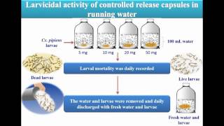 Toxicity larvicides released from chitosan capsules against C pipiens  Video abstract 108881 [upl. by Ynnob]