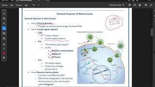 Virology Retroviruses [upl. by Etan]