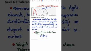 Tolerans hoşgörü aralığı sıfır tolerans [upl. by Deehan716]