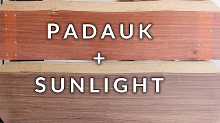 Padauk  Sunlight · Color fade [upl. by Adnahs779]