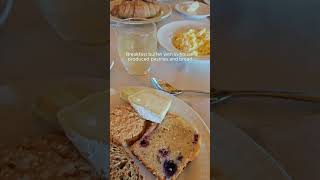 VLOG  Locally sourced breakfast buffet in the coziest farmstay in Italy [upl. by Wernsman800]