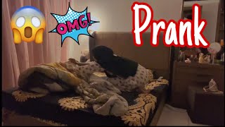 PRANK SAAMIA OO HURDADA U DIIDAY SARIRITA KA TUURE [upl. by Tillo]