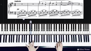 The Swan  Camille  Saint  Saens  from the Piano Pieces for Children [upl. by Killigrew]