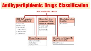 46 Hypolipidemic Drugs  Classification of hypolipidemic Drugs  Antihyperlipidemic Drugs Class [upl. by Palua]