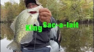 Fishing For King Sacalait On Lake Verret [upl. by Heaps698]