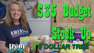 35 Budget Prepper Pantry Stock Up from Dollar Tree [upl. by Hearsh]