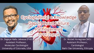 Cyclophiling a Knowledge Gap in Heart Failure Pathogenesis [upl. by Lambart]