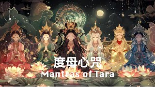 六位度母的祝福｜度母心咒合集 Mantras Of Tara 白度母、綠度母、紅度母、黃度母、藍度母、黑度母心咒 [upl. by Neenej]