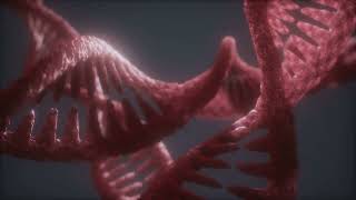 Nucleosides vs Nucleotides  BOC Sciences [upl. by Goer138]