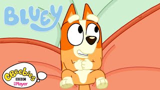 Butterflies  Bluey  CBeebies‌ [upl. by Akered477]