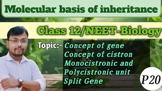 Molecular basis of inheritancePart 20Concept of Gene amp cistron class12 neet biology ncert [upl. by Heyer]