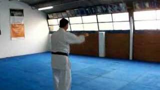 Uechi Ryu  Kanshu  Kata [upl. by Sylvia]