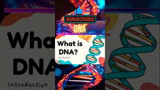 What is DNA 🧑‍🔬 dna biology discover [upl. by Loris]