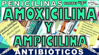 AMOXICILINA PARA QUE SIRVE ESTE MEDICAMENTO AMOXICILINA Y AMPICILINA  GuiaMed [upl. by Naor]