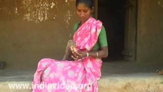 Mongoose Herpestidae tamed Wildlife Nature Flora and Fauna Kerala India [upl. by Nitsreik]