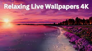 How to Set Live Wallpapers on PC  Purple Sunset Realxing Wallpaper [upl. by Nehemiah]