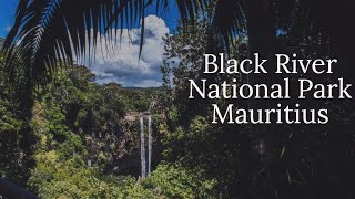 Black River National Park Mauritius 4K [upl. by Bixby]