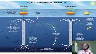 6G  Can Artificial UpwellingDownwelling enhance Ocean CO2 Removal [upl. by Nnilsia]