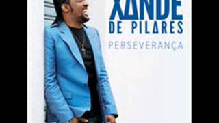 Xande de Pilares  Se Eu Fosse Você CD Perseverança 2014 [upl. by Delcina]