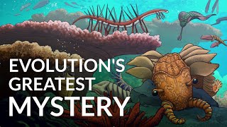 What Caused The Cambrian Explosion [upl. by Ydnam]