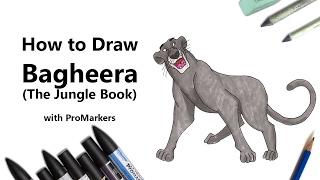 How to Draw and Color Bagheera from The Jungle Book with ProMarkers Speed Drawing [upl. by Latreece]